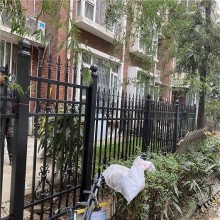 廠學(xué)校別墅庭院隔離 鋁藝圍墻 龍潮工匠精品護(hù)欄